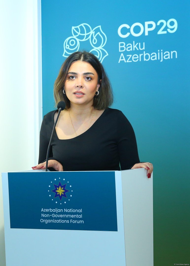 Environmental initiatives supporter Eco Hub organizes event within COP29 (PHOTO)