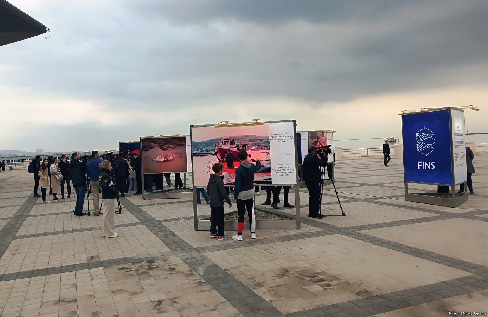 На Бакинском бульваре в рамках COP29 открылась экспозиция по защите морских видов (ФОТО)