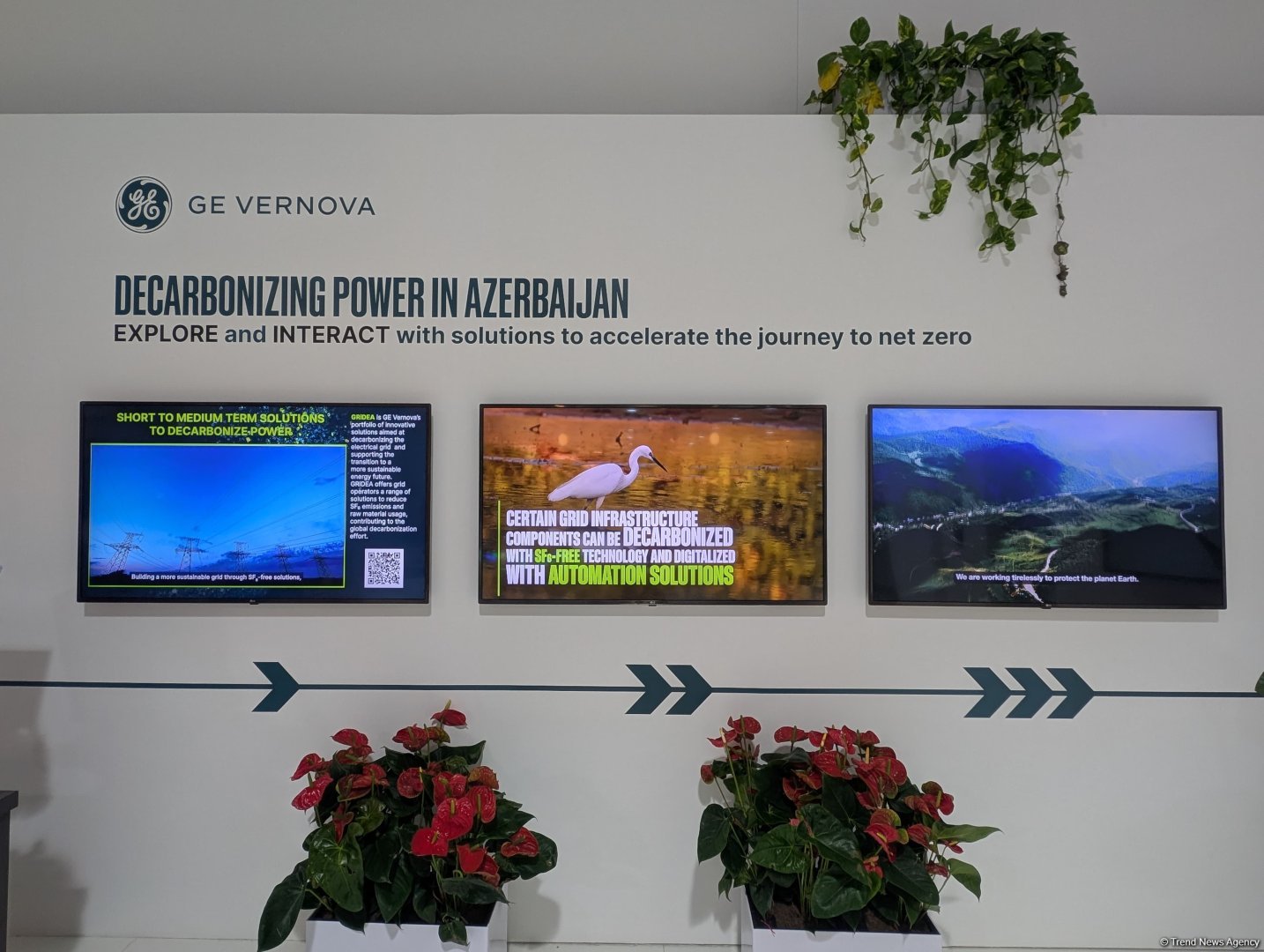 До официального открытия COP29 в Баку остались считанные часы (ФОТО)