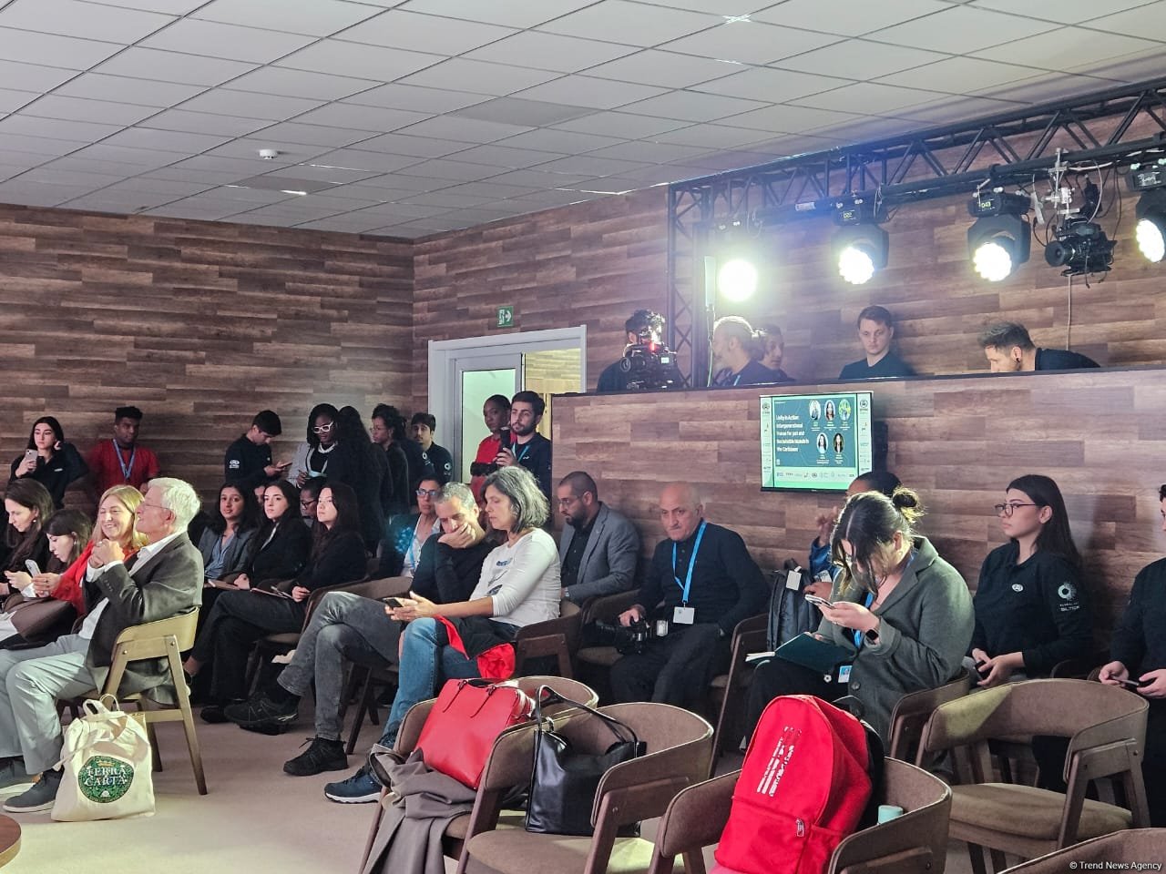 В рамках COP29 прошла панельная дискуссия на тему "Единство в действии: голоса разных поколений за справедливые и устойчивые острова Карибского региона" (ФОТО)
