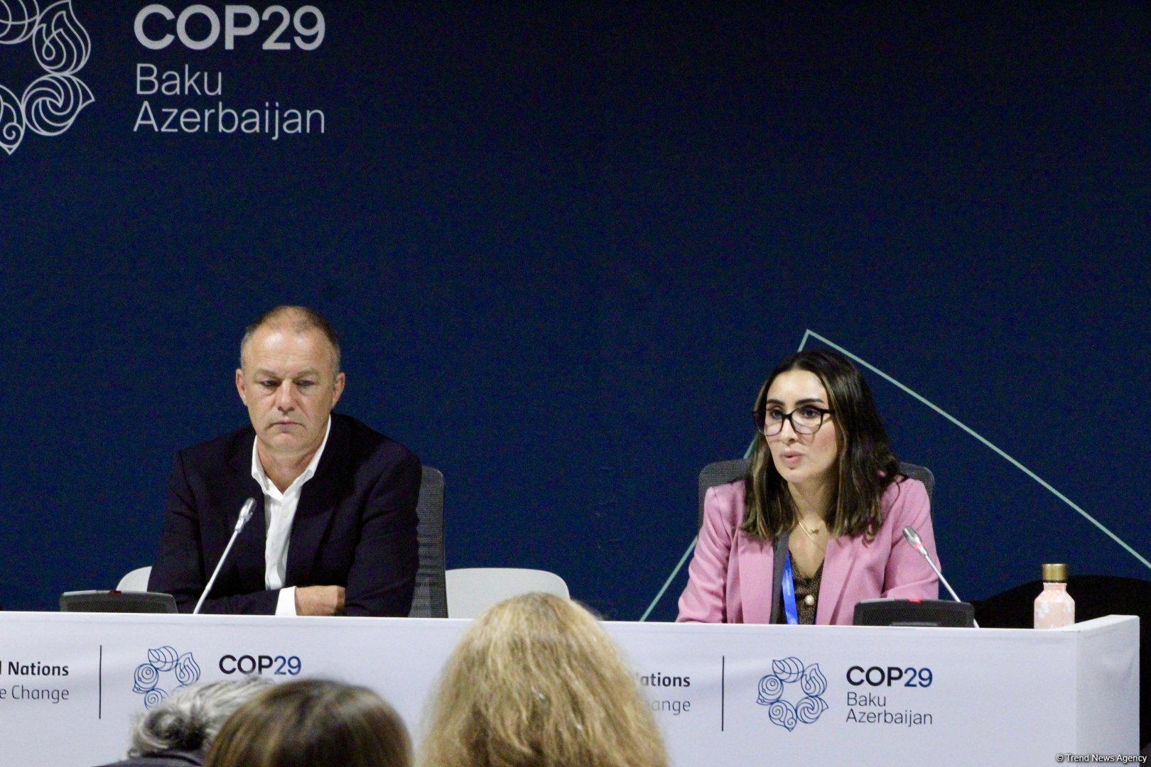 В рамках COP29 прошла панельная дискуссия в связи с углеродными рынками (ФОТО)