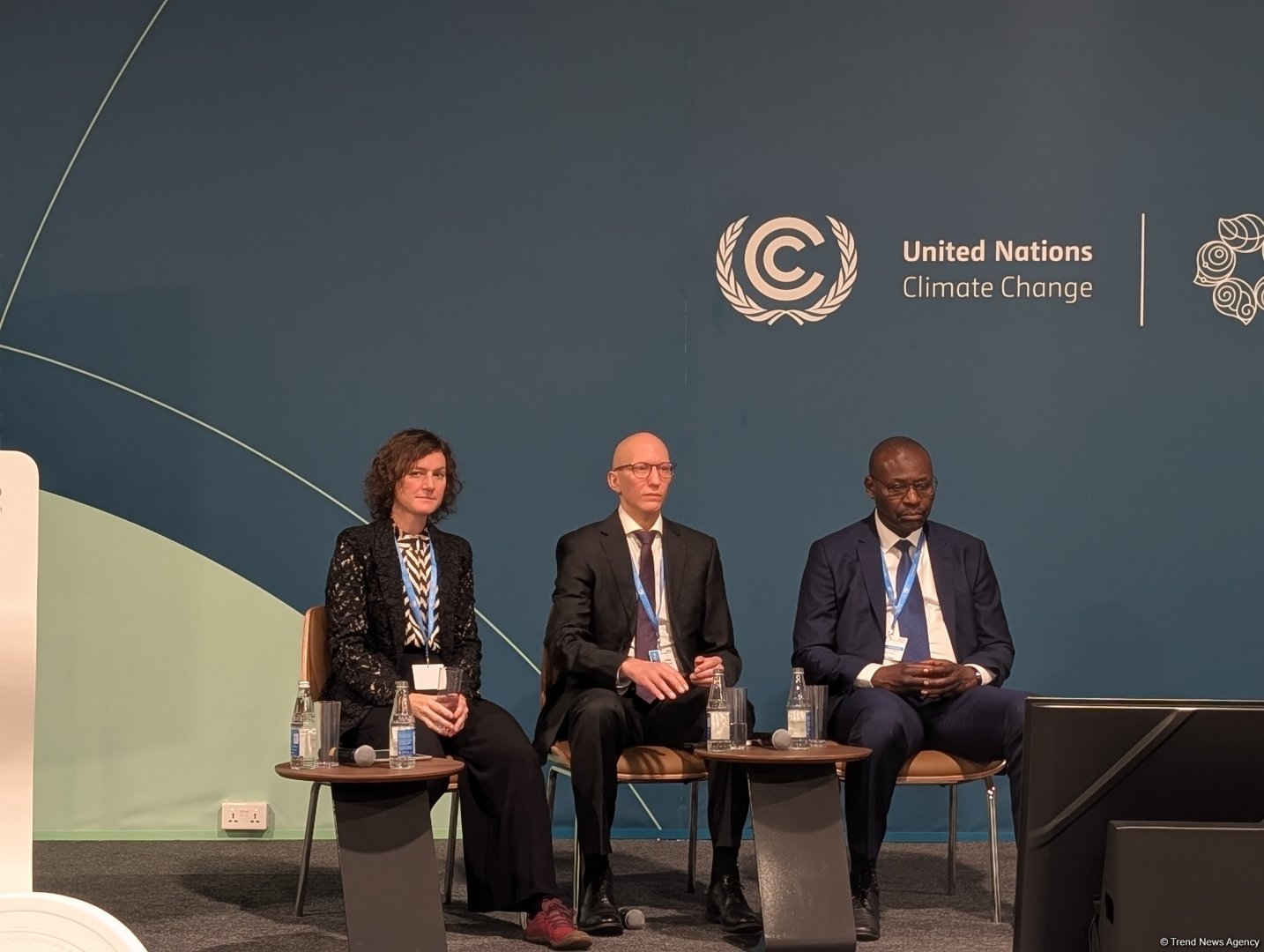 В рамках COP29 состоялась панельная дискуссия "Использование внутреннего развития для поддержки перехода к регенеративным и расширяющим возможности городам" (ФОТО)