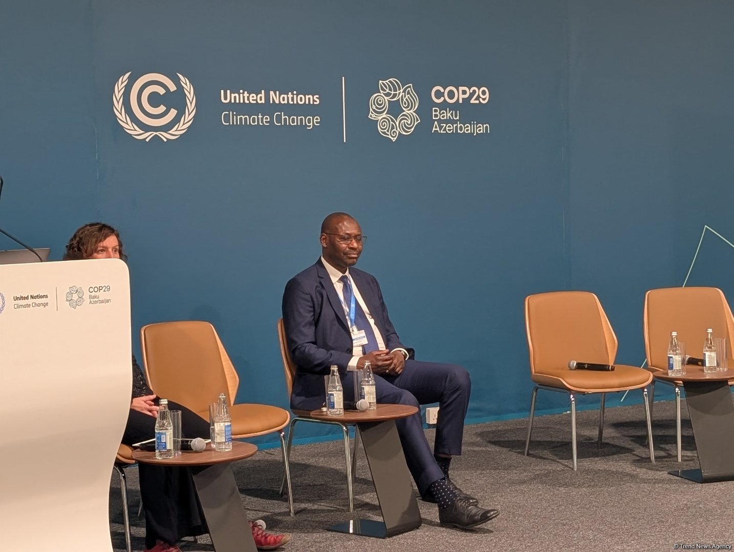 В рамках COP29 состоялась панельная дискуссия "Использование внутреннего развития для поддержки перехода к регенеративным и расширяющим возможности городам" (ФОТО)