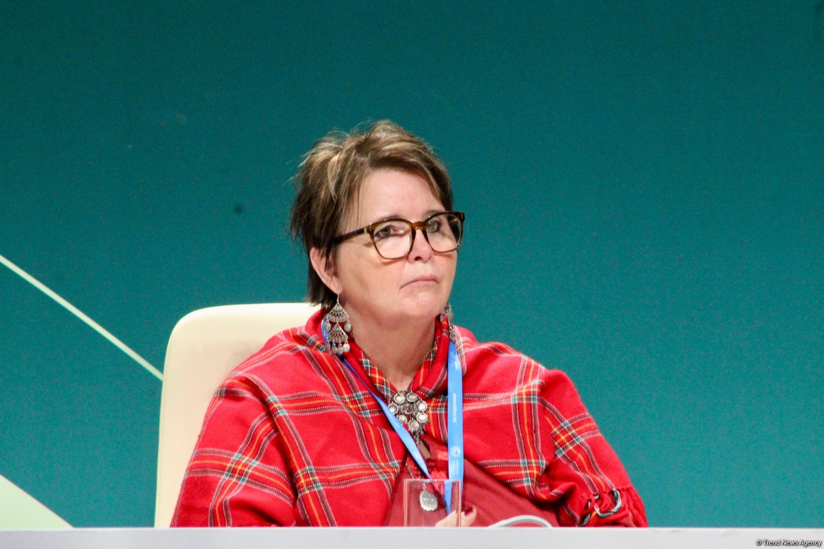 Global South countries demand non-debt-based climate finance - YOUNGO (PHOTO)