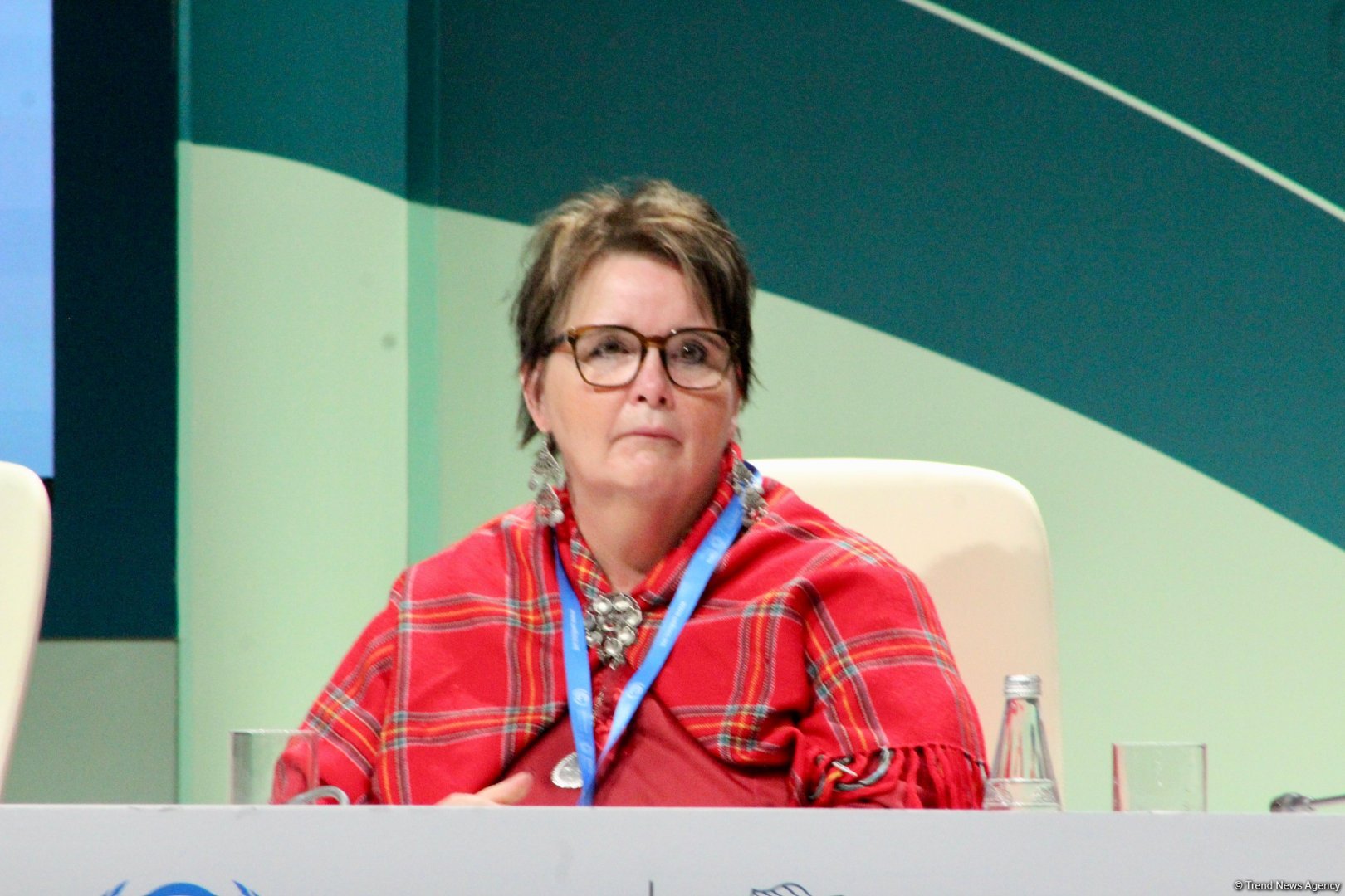 Global South countries demand non-debt-based climate finance - YOUNGO (PHOTO)