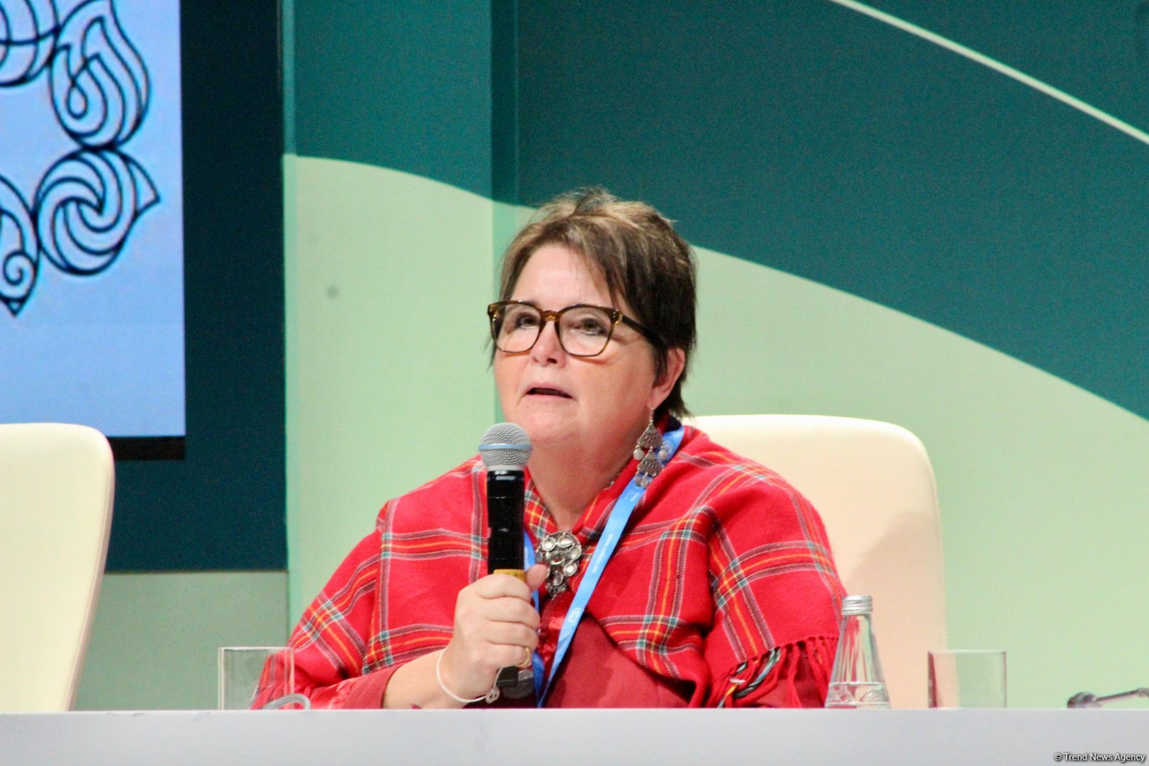 Global South countries demand non-debt-based climate finance - YOUNGO (PHOTO)