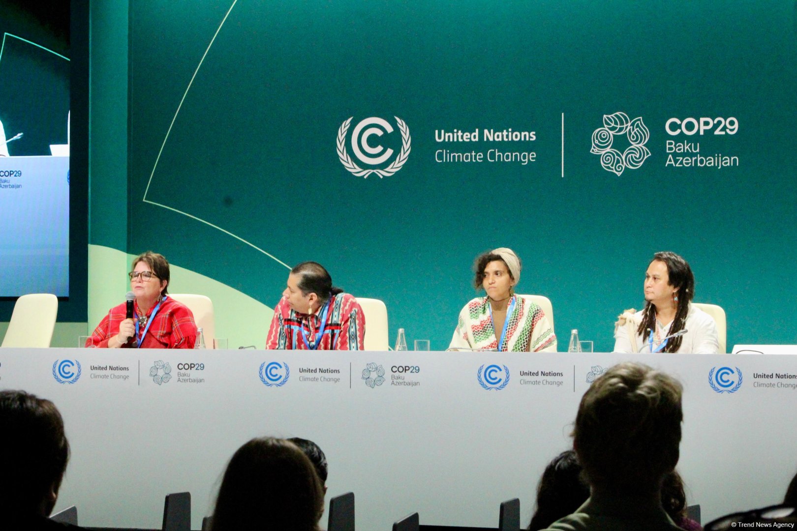 Global South countries demand non-debt-based climate finance - YOUNGO (PHOTO)