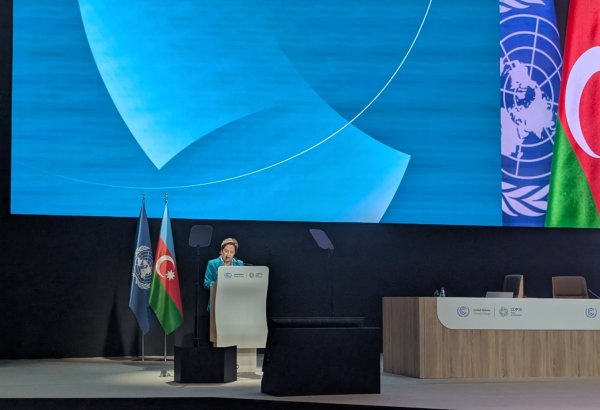 COP29 hosts summit on methane