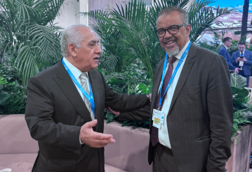 Azerbaijani PM weighs climate change impact on human health with WHO chief (PHOTO)