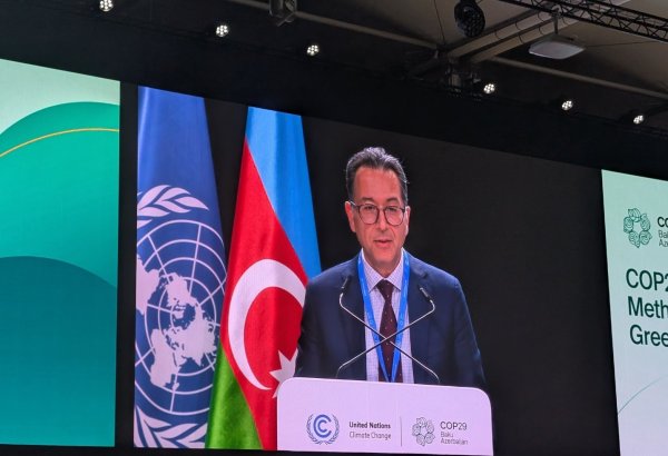 Azerbaijan aims to reduce negative consequences of climate change - SOCAR's VP