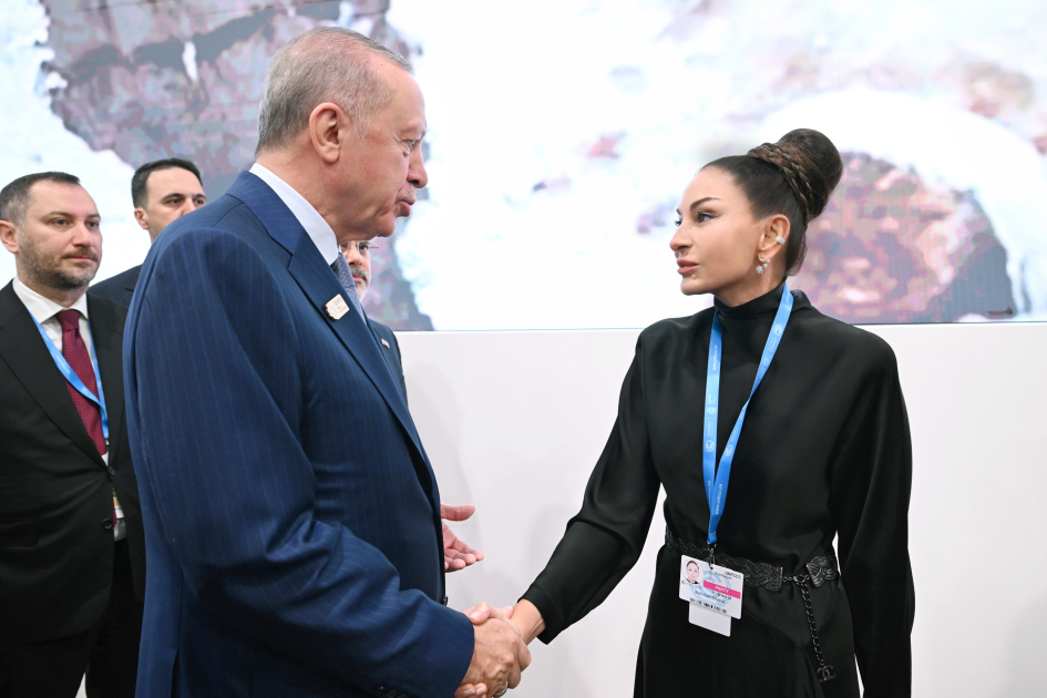 В Баку состоялась церемония открытия Саммита лидеров COP29, Президент Ильхам Алиев выступил на мероприятии (ВИДЕО/ФОТО)