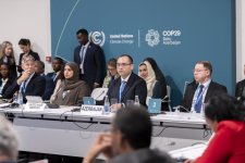Talks on adapting food systems take place at COP29 in Azerbaijan (PHOTO)