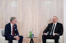 Президент Ильхам Алиев встретился с премьер-министром Чехии (ФОТО/ВИДЕО)