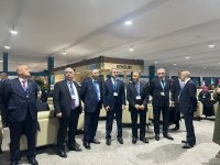 Официальные лица Азербайджана посетили "Голубую зону" COP29 (ФОТО)