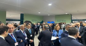 Официальные лица Азербайджана посетили "Голубую зону" COP29 (ФОТО)