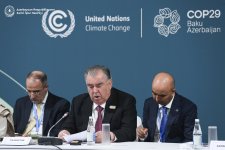 Джейхун Байрамов выступил в рамках  COP29 на тему климатического финансирования (ФОТО)