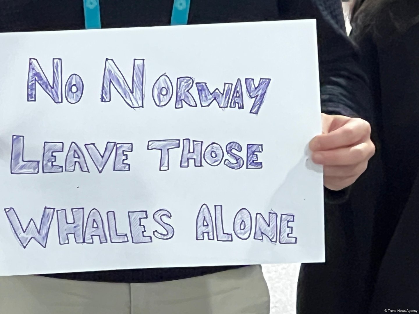 На COP29 состоялась акция протеста против глубоководной добычи и охоты на китов в Норвегии (ФОТО/ВИДЕО)