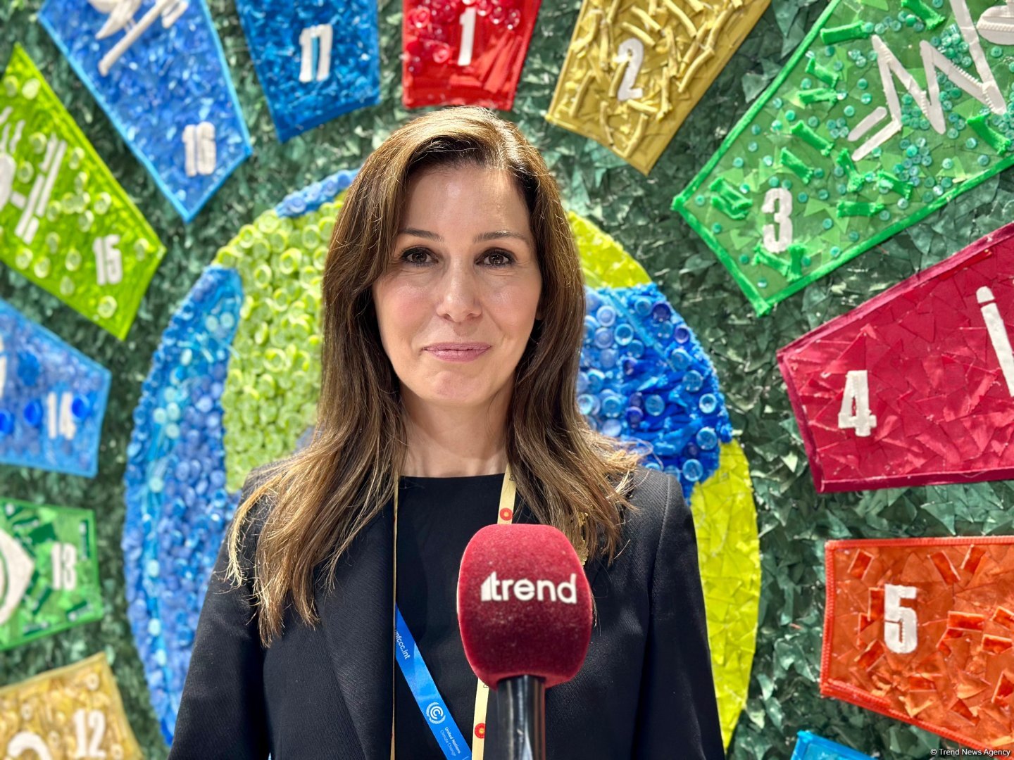 COP for Hope: We're optimistic about COP29 outcomes to be tangible - Turkish deputy chair