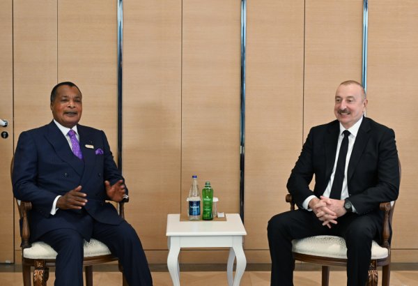 President Ilham Aliyev meets with President of Congo (PHOTO/VIDEO)