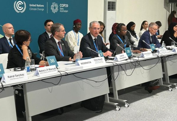 Water initiative to be adopted for climate action within COP29 - Azerbaijani minister
