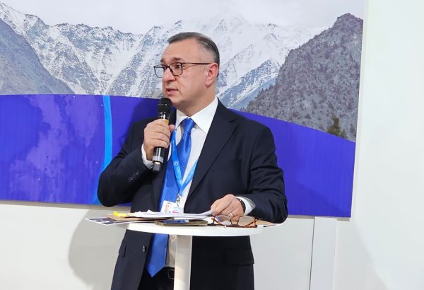 Health promotion stands critical to building stronger health systems - Azerbaijani minister (PHOTO)