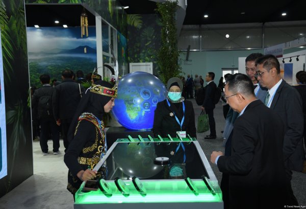 Azerbaijan's Baku showcases photo report from third day of COP29 (PHOTO)