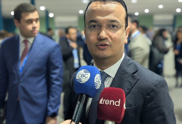 Azerbaijan hosts COP29 at elevated level of significance - Uzbek minister