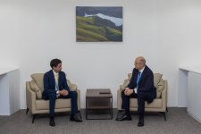 Министр энергетики провел ряд встреч в рамках мероприятия COP29 (ФОТО)