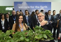 Heydar Aliyev Foundation’s “Azerbaijan. Inspired by Nature” publication presented on the sidelines of COP29 (PHOTO/VIDEO)