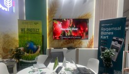 COP for Hope: Назван объем страховых выплат  в связи с природными явлениями в Азербайджане (ФОТО)