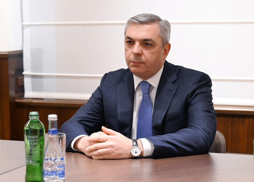Самир Нуриев встретился с делегацией во главе с губернатором Токио (ФОТО)