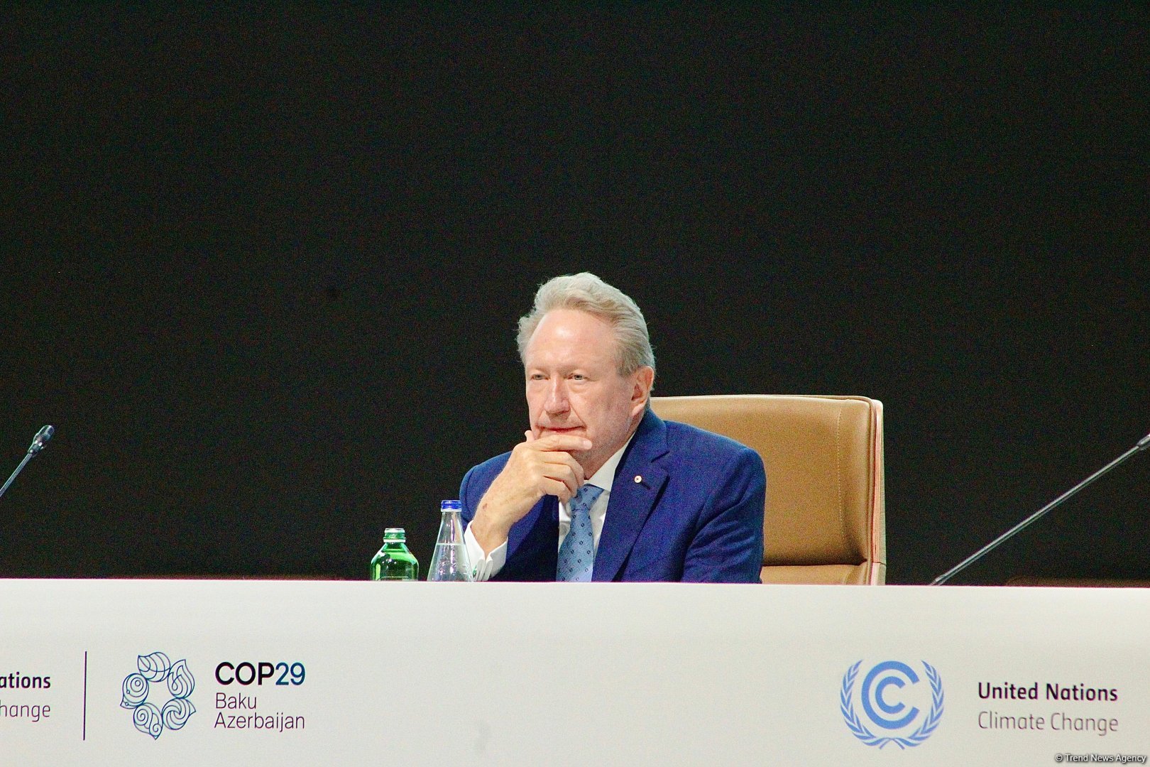 Азербайджан справился с таким большим и важным мероприятием, как COP29 - сопредседатель Alliance of CEO Climate Leaders
