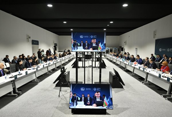 COP29 hosts signing statement on "OTS Partnership for Climate, Innovation, Green Economy and Trade" (PHOTO)