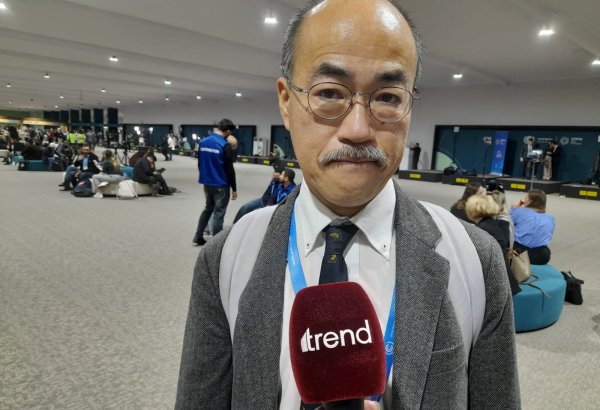 COP for Hope: COP29 offers great opportunity to find solutions to global climate change - Forestry and Forest Products Research Institute