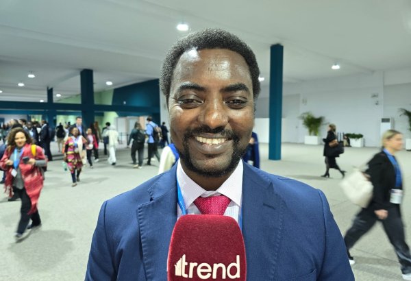 COP for Hope: We hope that decisions taken at COP29 facilitate fight against climate change - Chadian rep
