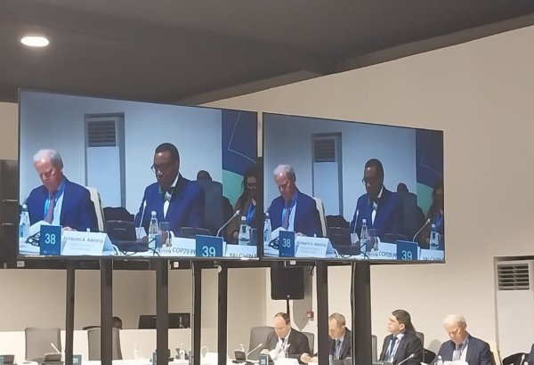 MDBs have crucial role to play in mobilizing climate finance - African Development Bank