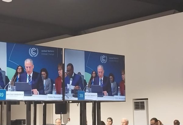 We call on MDBs to increase funding for national adaptation plans - COP29 president