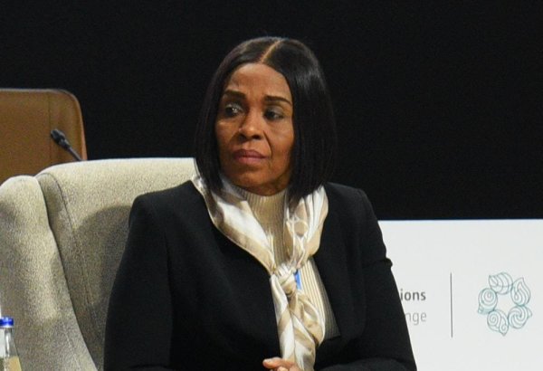 Investments in Africa need to be developed to reduce carbon emissions - official