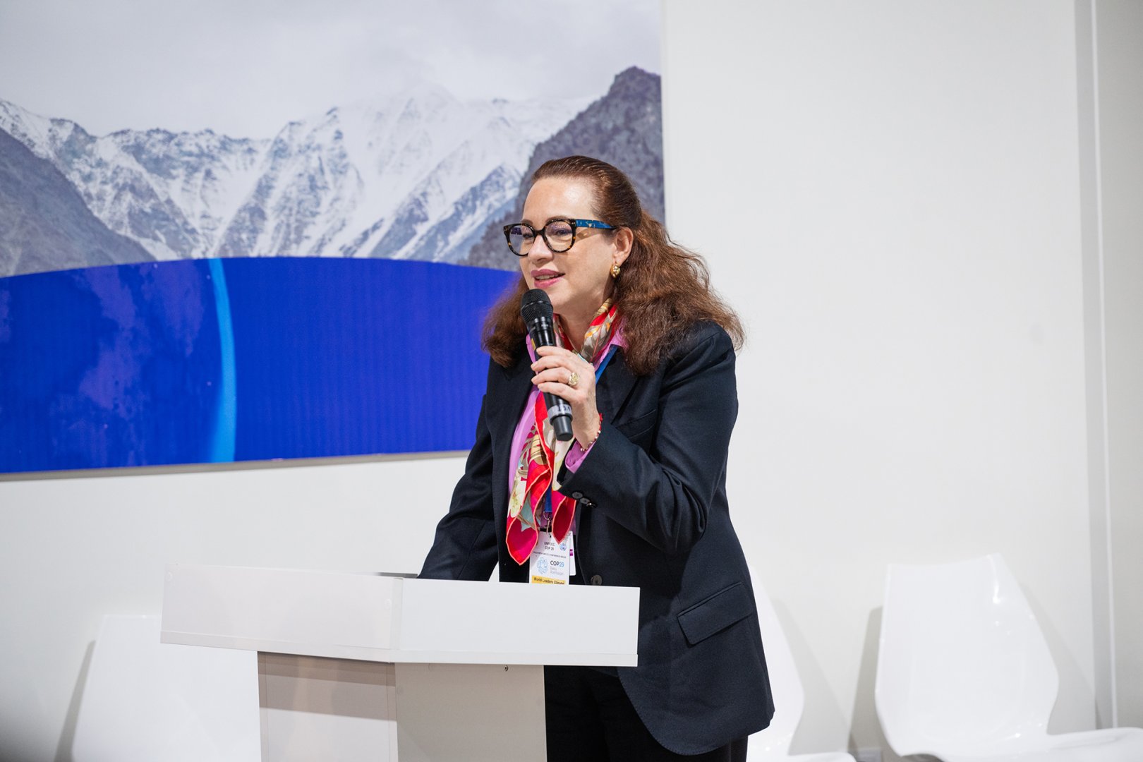 На COP29 прошла первая сессия высокого уровня на тему "зеленой" цифровой деятельности (ФОТО)