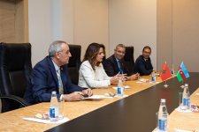 Обсуждено сотрудничество Азербайджана с Молдовой и Марокко в сфере энергетики (ФОТО)
