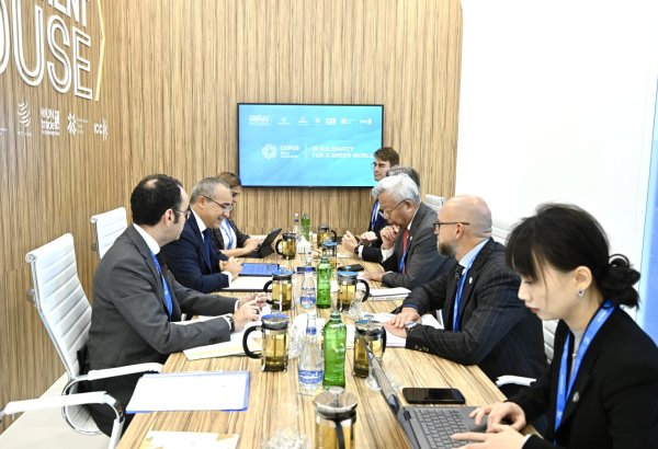 Azerbaijan, AIIB discuss priorities for further cooperation (PHOTO)
