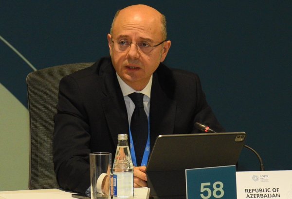 Azerbaijan highlights multi-directional energy export role in its green policy