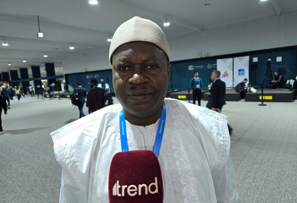 Azerbaijani people extend us warm welcome - Cameroon's official rep