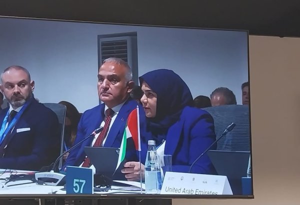 Culture not to be allowed to fall "victim" of global warming - COP29's UAE participant