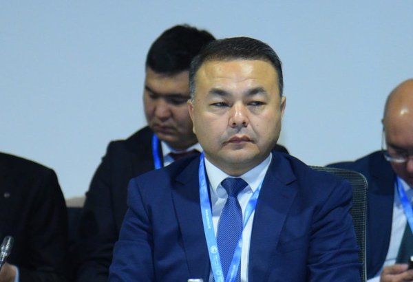 Central Asia possesses potential water, solar, and wind energy resources - Uzbek official