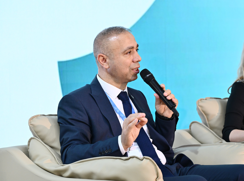 В рамках COP29 прошло мероприятие "Карта чистого нуля: построение устойчивой энергетической системы" (ФОТО)
