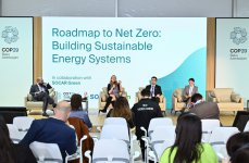В рамках COP29 прошло мероприятие "Карта чистого нуля: построение устойчивой энергетической системы" (ФОТО)