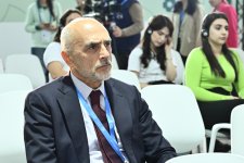 В рамках COP29 прошло мероприятие "Карта чистого нуля: построение устойчивой энергетической системы" (ФОТО)