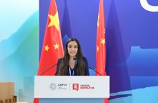 Вице-президент Фонда Гейдара Алиева Лейла Алиева приняла участие в панельной дискуссии в павильоне Китая (ФОТО)
