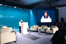 В рамках COP29 обсуждена мобилизация правоохранительных органов в борьбе с изменением климата (ФОТО)